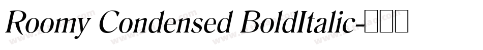 Roomy Condensed BoldItalic字体转换